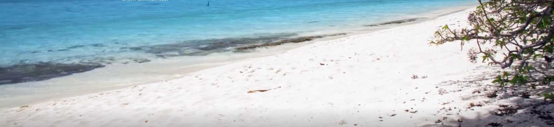 white sandy beach with blue sea on heron island