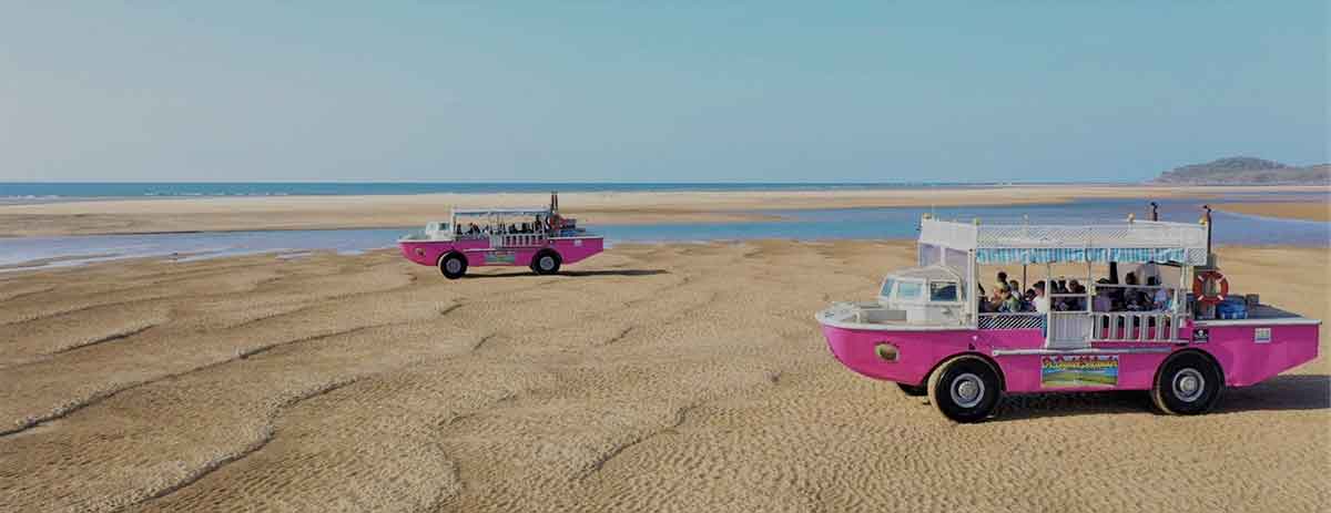two pink amphibious craft on a beach sandbank