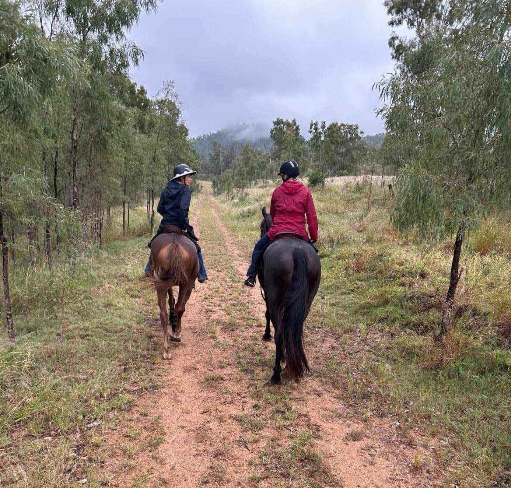 two people riding horses in the bush